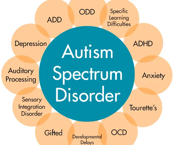 Best Shadow Teachers , Special Education Tutors in Bangalore , Find Shadow Teacher , Need Special Educator or Shadow Teacher , Special Education for Special needs tutors in Bangalore , Shadow teacher required in Bangalore , Bangalore Shadow Teacher